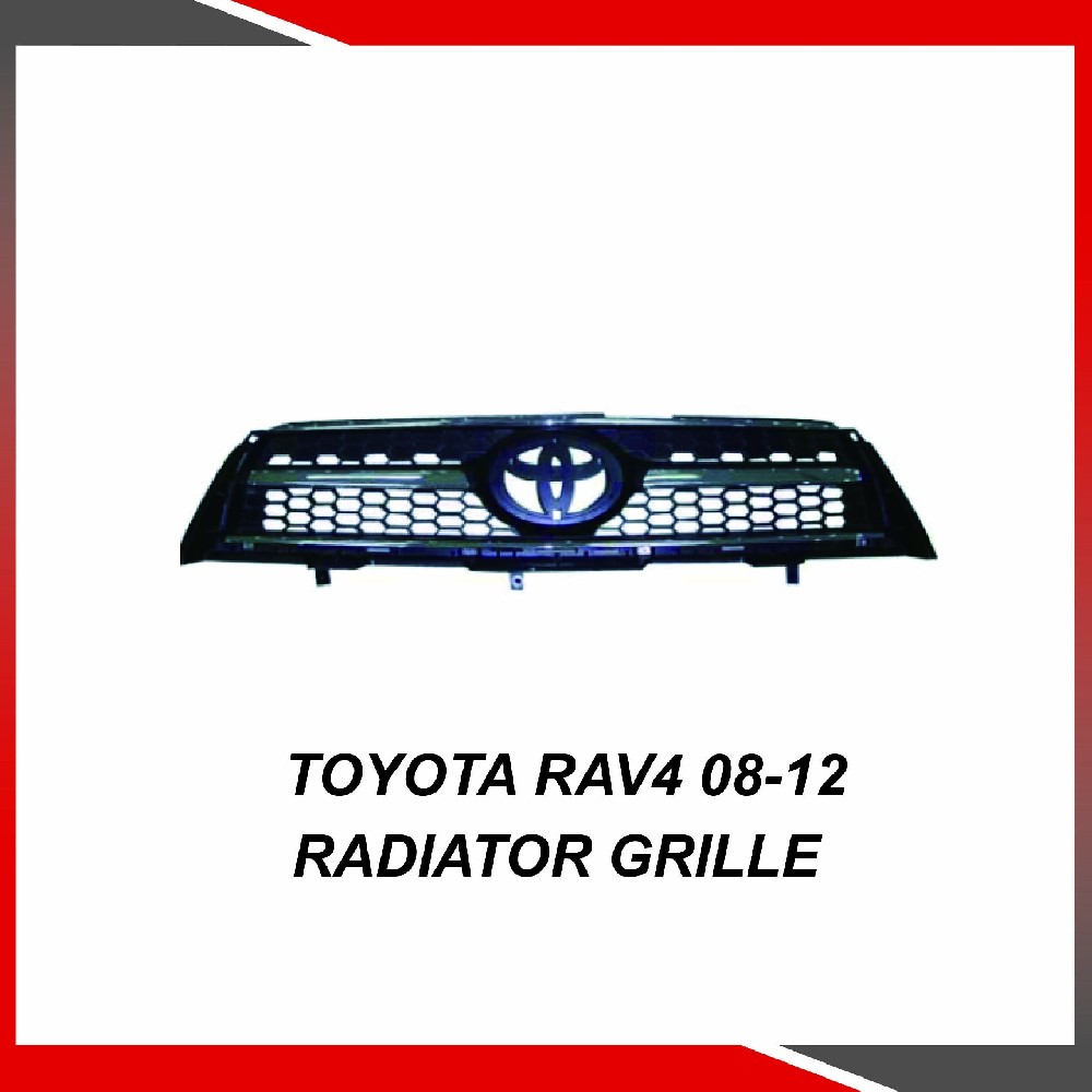 Toyota RAV4 08-12 Radiator grille