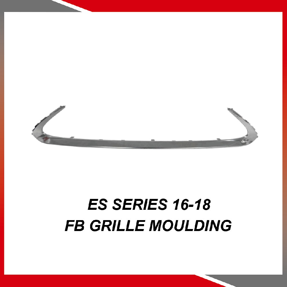ES Series 16-18 Front bumper grille moulding