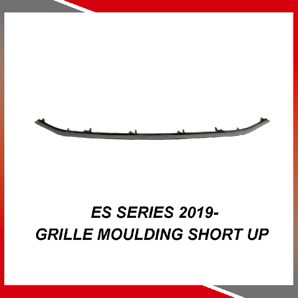 ES Series 2019- Grille moulding short up