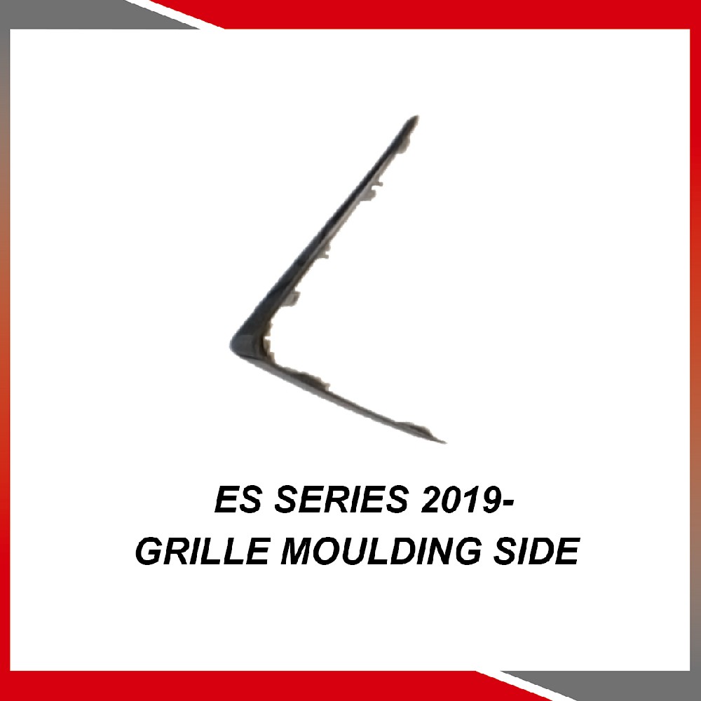 ES Series 2019- Grille moulding side
